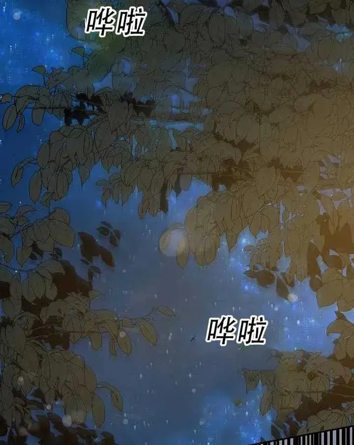《驯服暴君后逃跑了》32.黑玫瑰图32