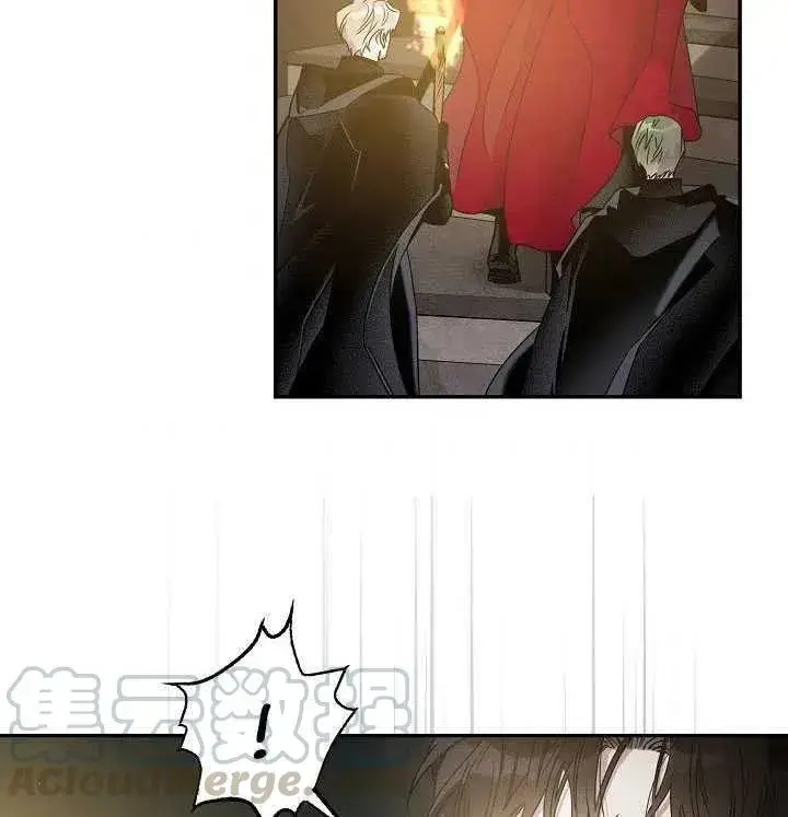 《驯服暴君后逃跑了》38.谋反（3）图85