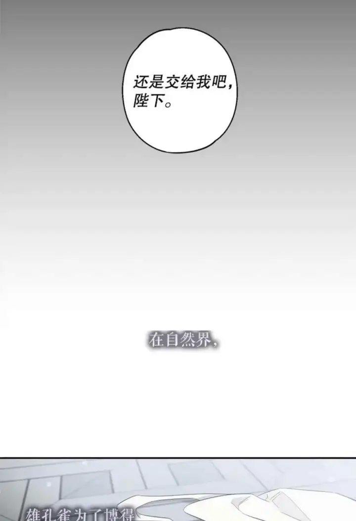 《驯服暴君后逃跑了》41.新皇继位图42