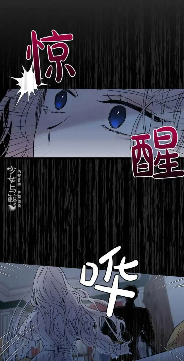 《驯服暴君后逃跑了》5.深夜的暗杀图27