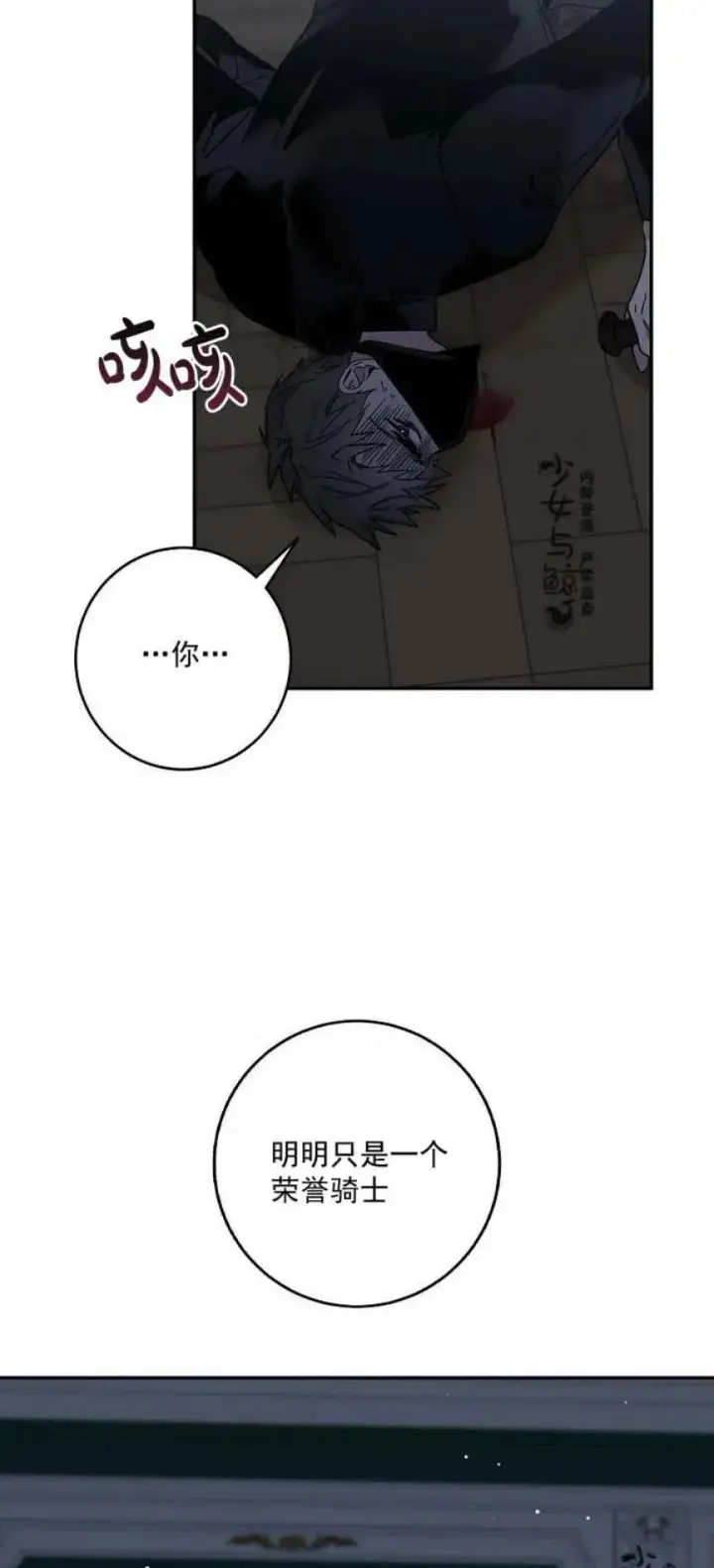 《驯服暴君后逃跑了》5.深夜的暗杀图32