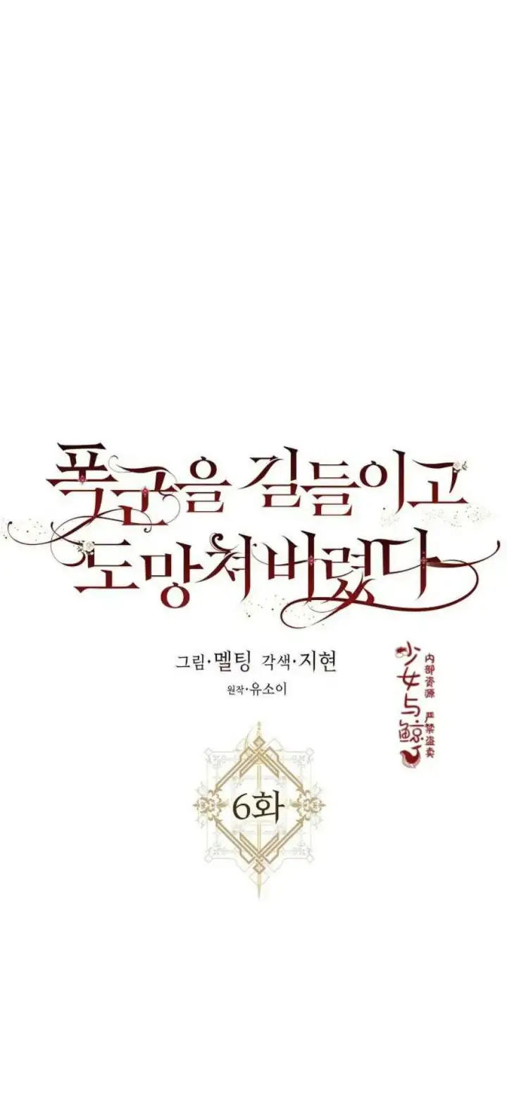 《驯服暴君后逃跑了》6.假面图20