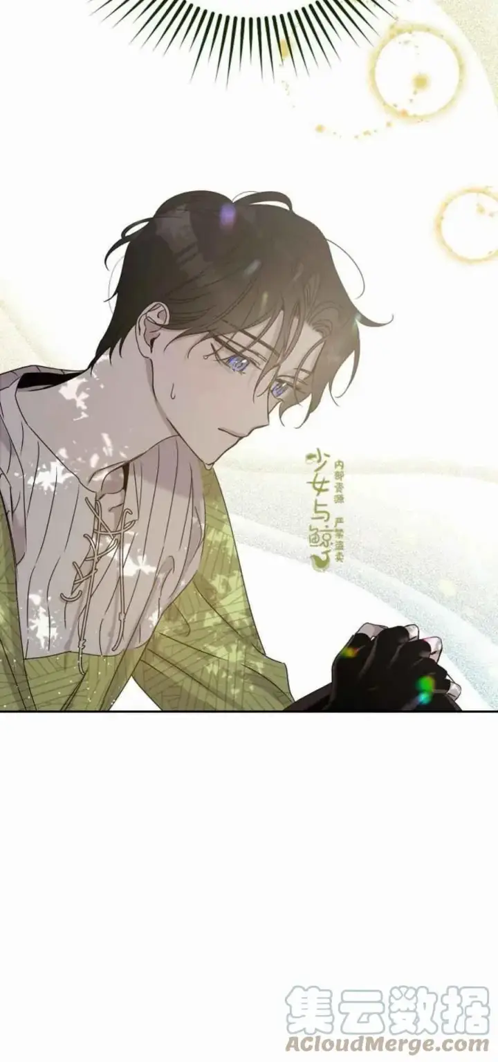 《驯服暴君后逃跑了》6.假面图46