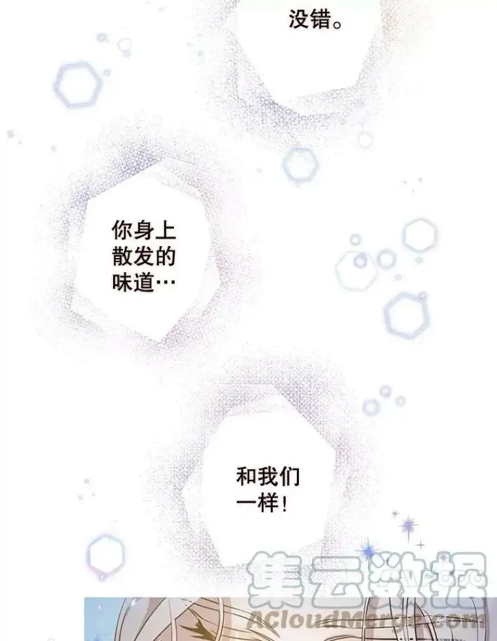 漫画《驯服暴君后逃跑了》53.精灵的秘密第10张图