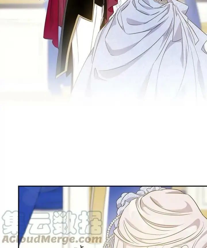 《驯服暴君后逃跑了》58.冰晶庭院图45