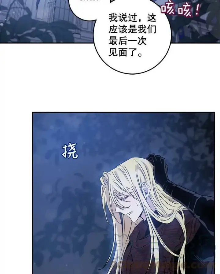 《驯服暴君后逃跑了》63.艾西利特碎片图25