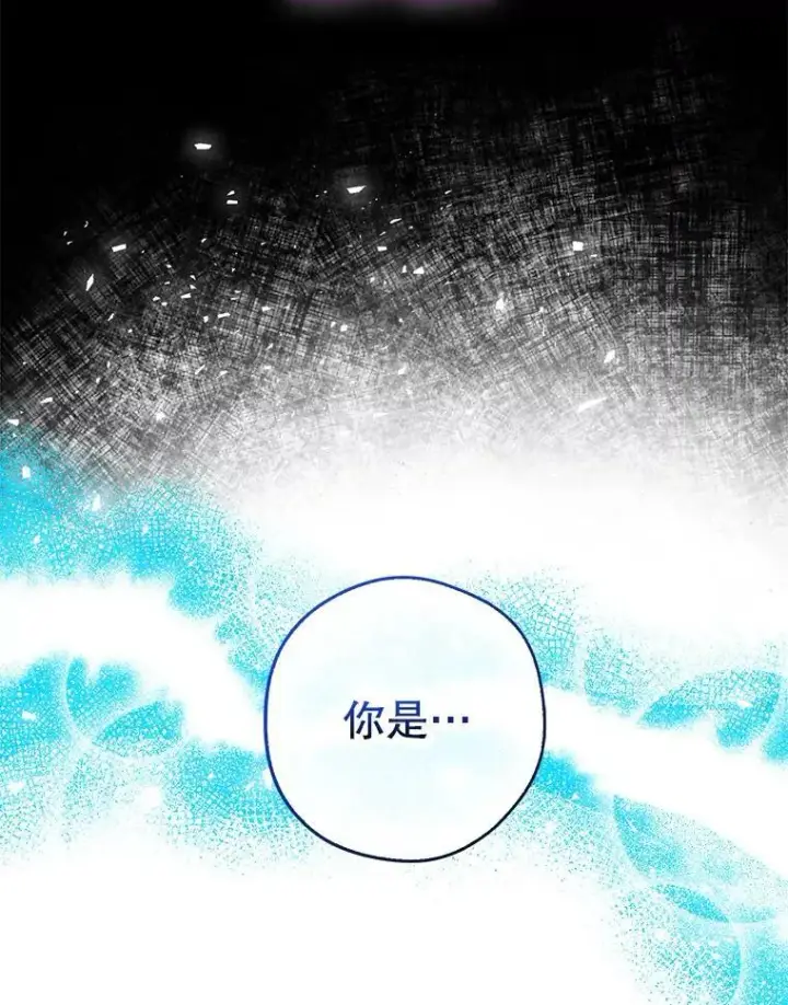 《驯服暴君后逃跑了》63.艾西利特碎片图36