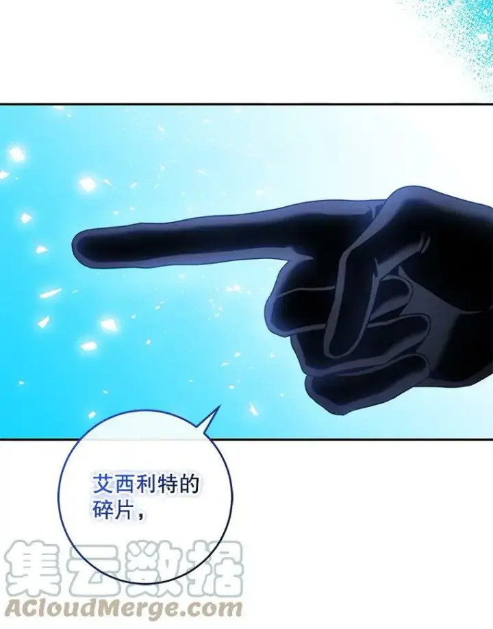《驯服暴君后逃跑了》63.艾西利特碎片图37