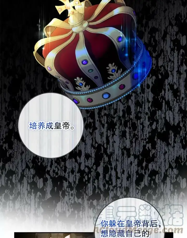 《驯服暴君后逃跑了》63.艾西利特碎片图40