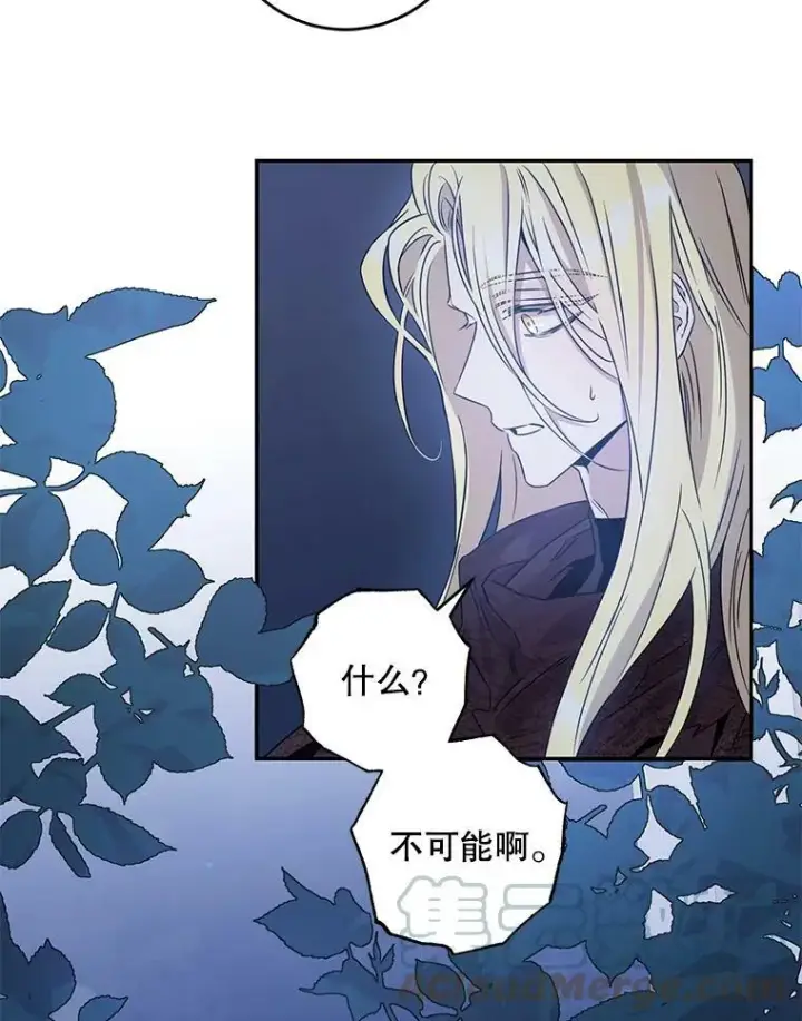 《驯服暴君后逃跑了》63.艾西利特碎片图43
