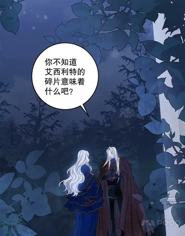 《驯服暴君后逃跑了》63.艾西利特碎片图44