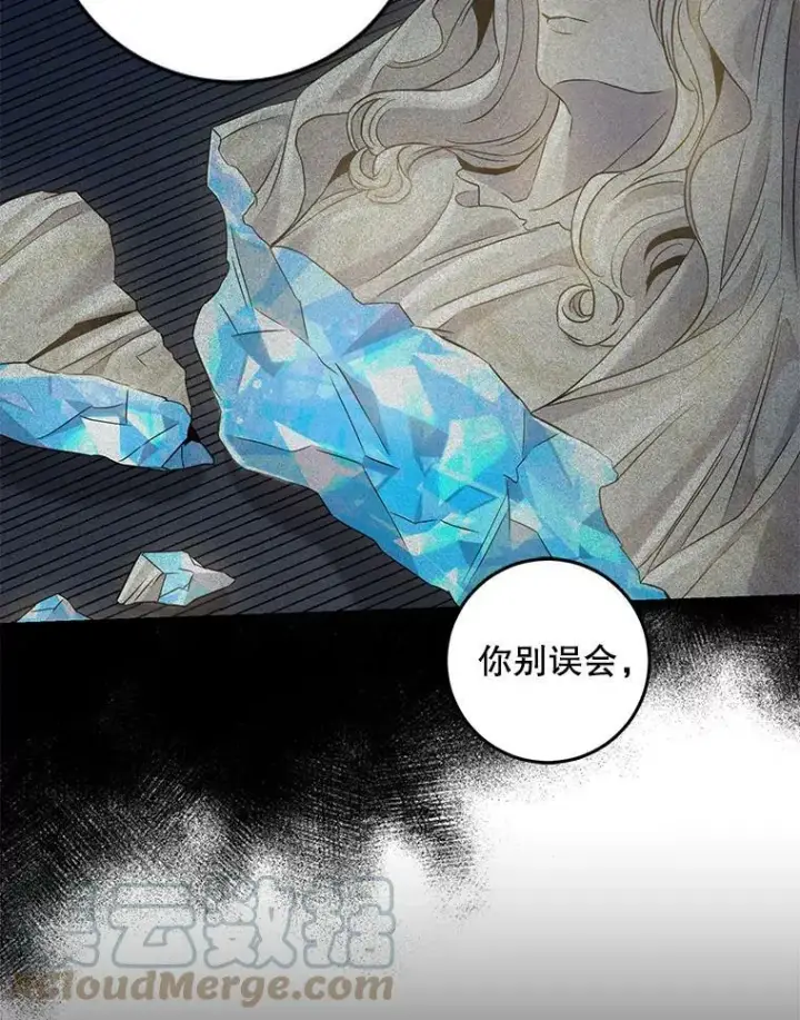 《驯服暴君后逃跑了》63.艾西利特碎片图46