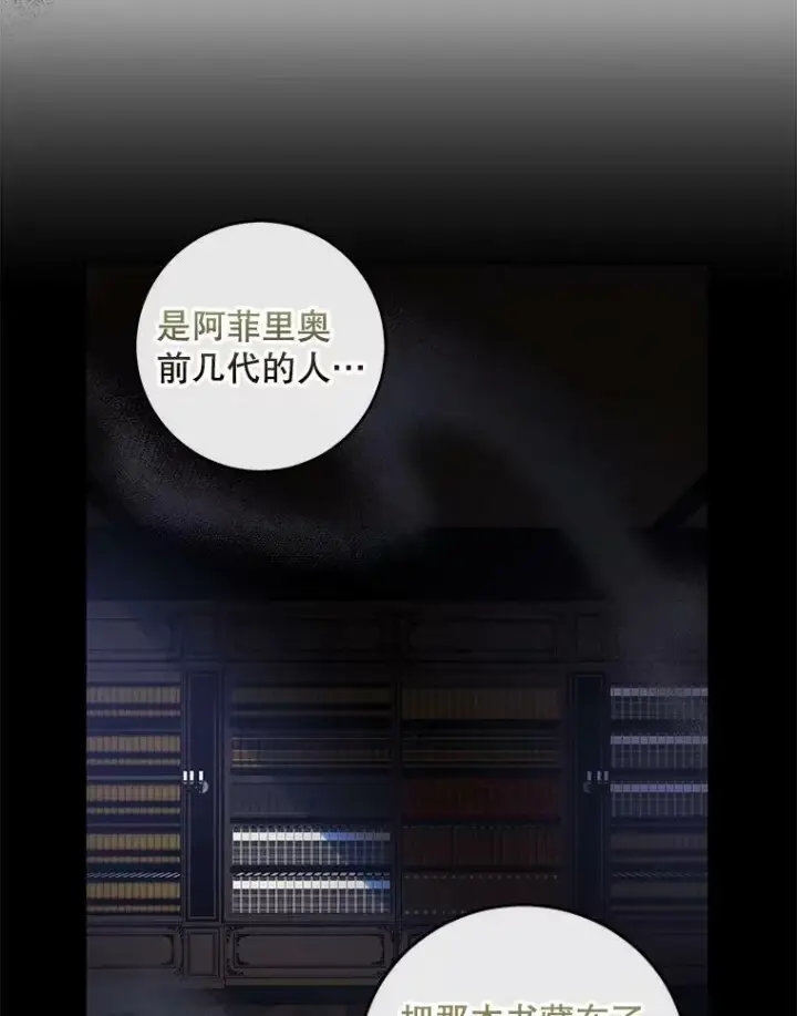 《驯服暴君后逃跑了》63.艾西利特碎片图47