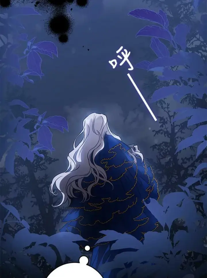 《驯服暴君后逃跑了》63.艾西利特碎片图5