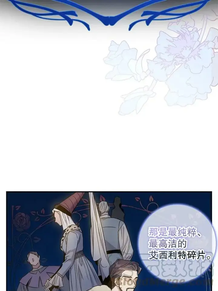 《驯服暴君后逃跑了》63.艾西利特碎片图52