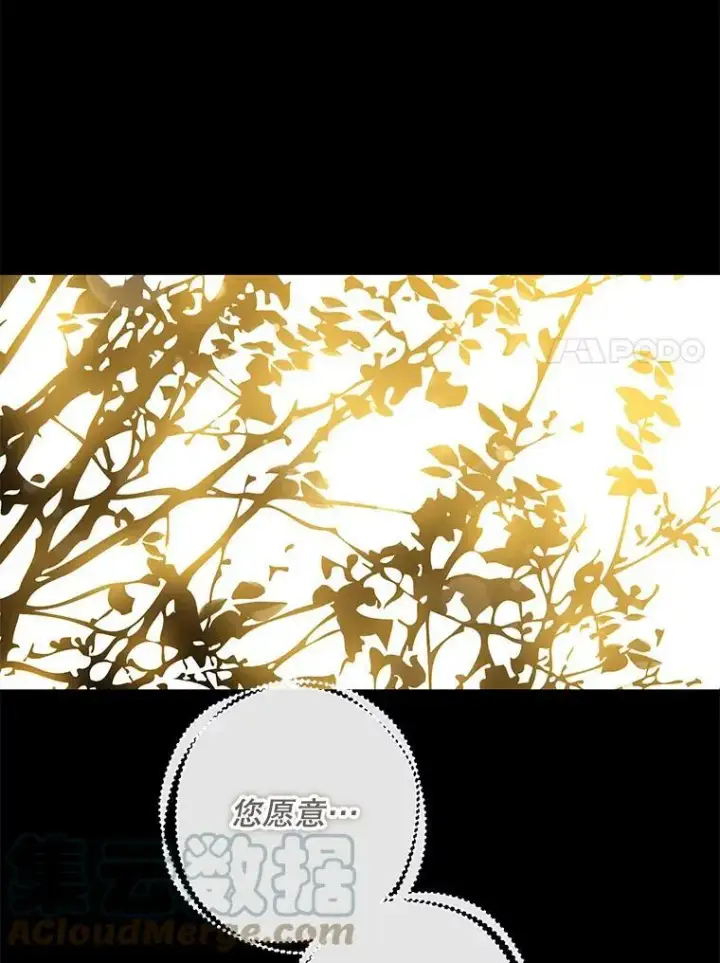 《驯服暴君后逃跑了》63.艾西利特碎片图7