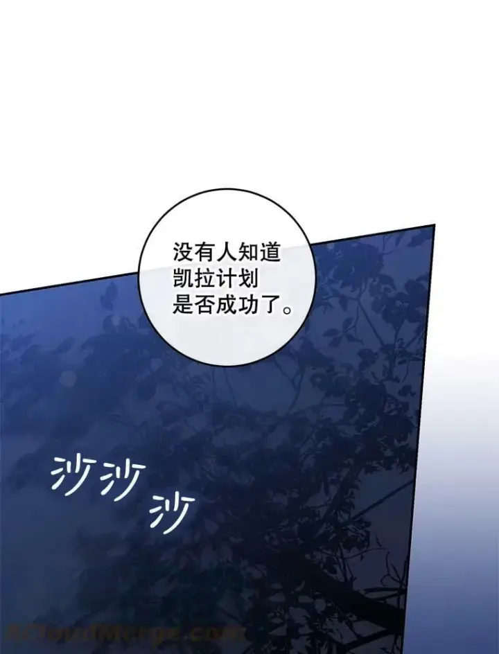 《驯服暴君后逃跑了》63.艾西利特碎片图76