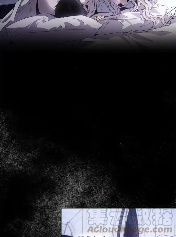 《驯服暴君后逃跑了》63.艾西利特碎片图88