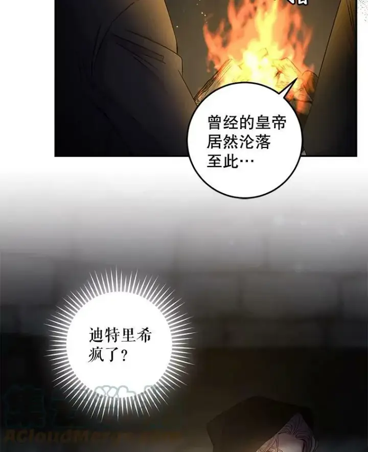 《驯服暴君后逃跑了》64.预谋离开图76