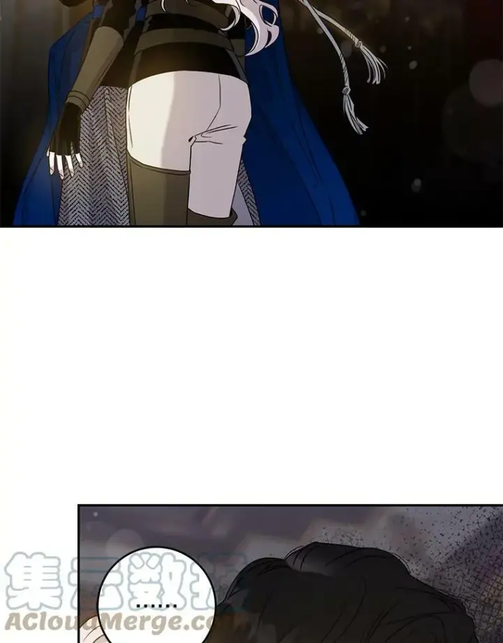 《驯服暴君后逃跑了》71.皇后宫图25