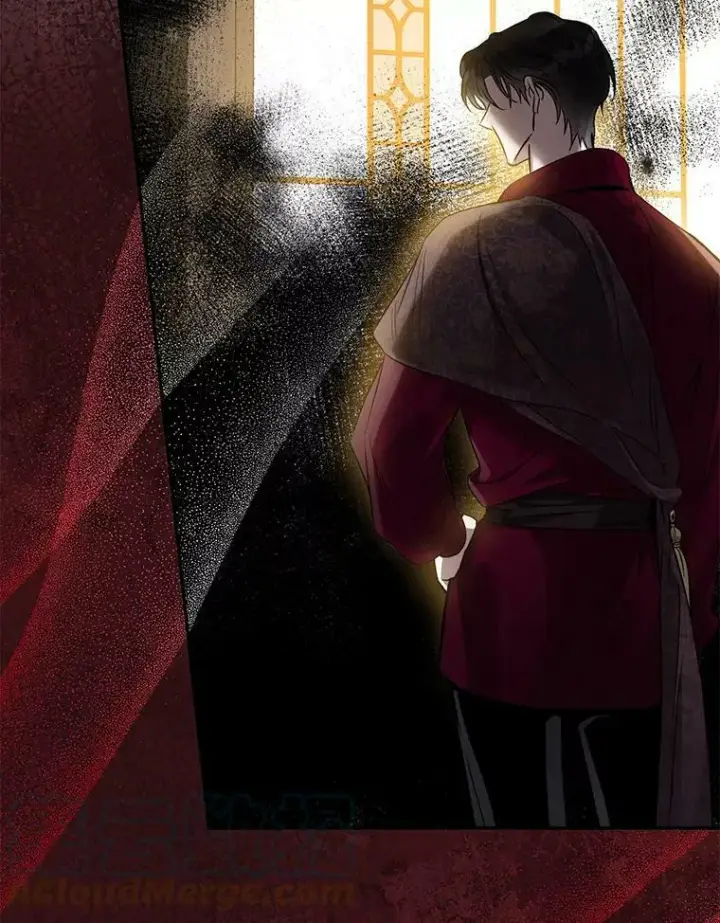 漫画《驯服暴君后逃跑了》78.拉菲内一族第53张图