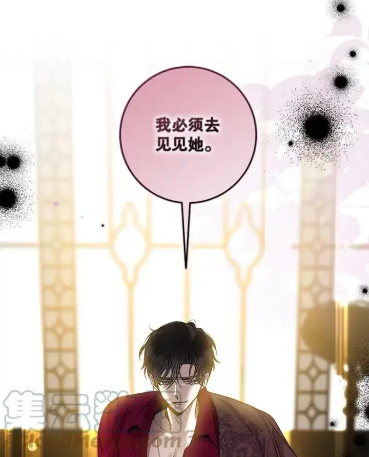 漫画《驯服暴君后逃跑了》78.拉菲内一族第65张图