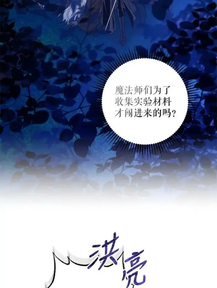 漫画《驯服暴君后逃跑了》78.拉菲内一族第72张图