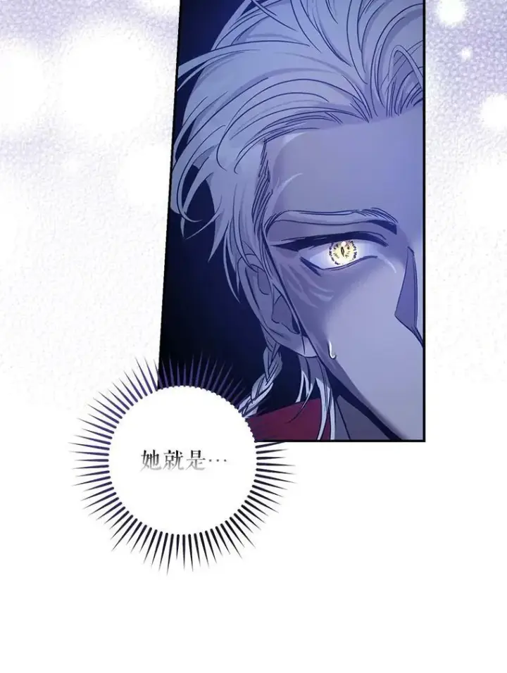 漫画《驯服暴君后逃跑了》78.拉菲内一族第78张图