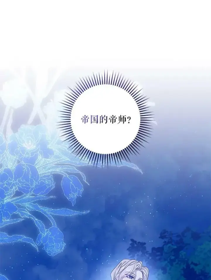 漫画《驯服暴君后逃跑了》78.拉菲内一族第79张图