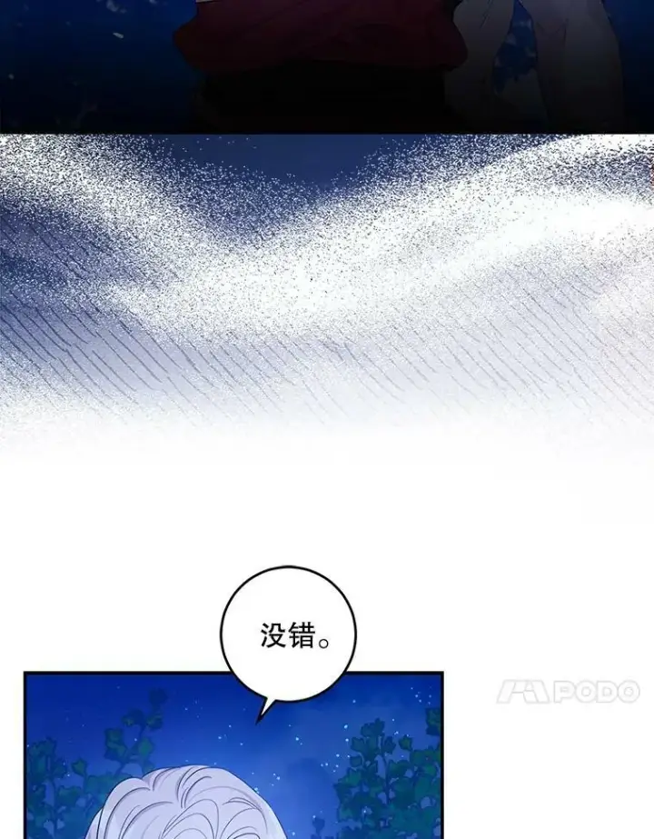 漫画《驯服暴君后逃跑了》78.拉菲内一族第87张图