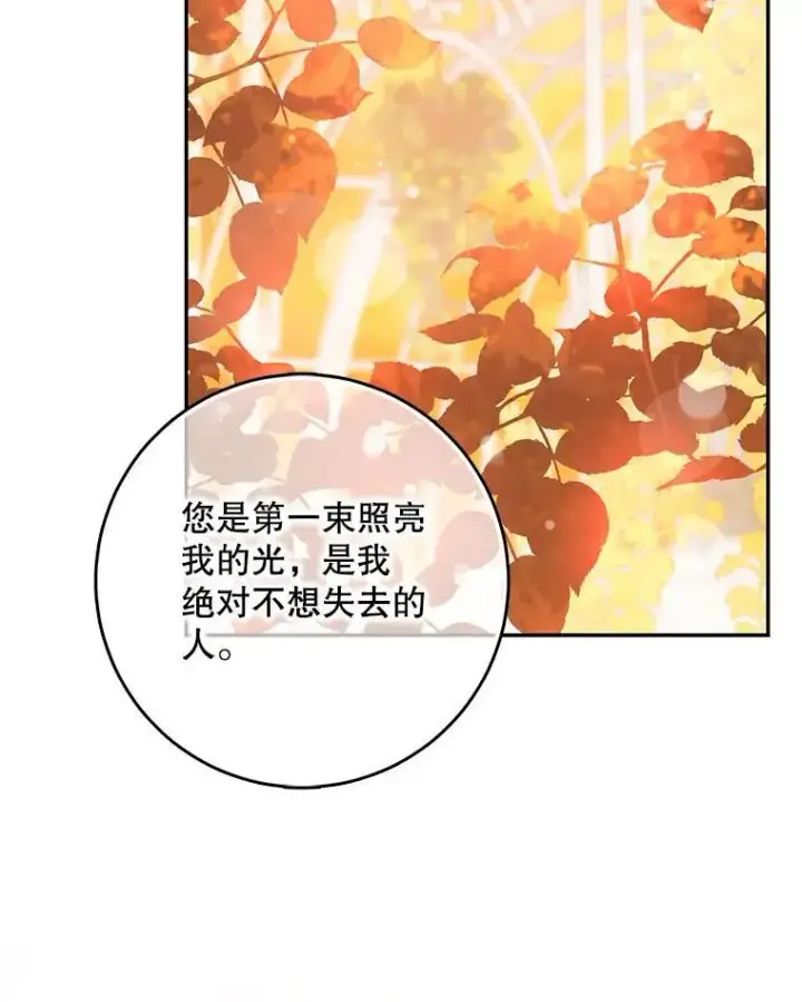 《驯服暴君后逃跑了》85.坦白图92