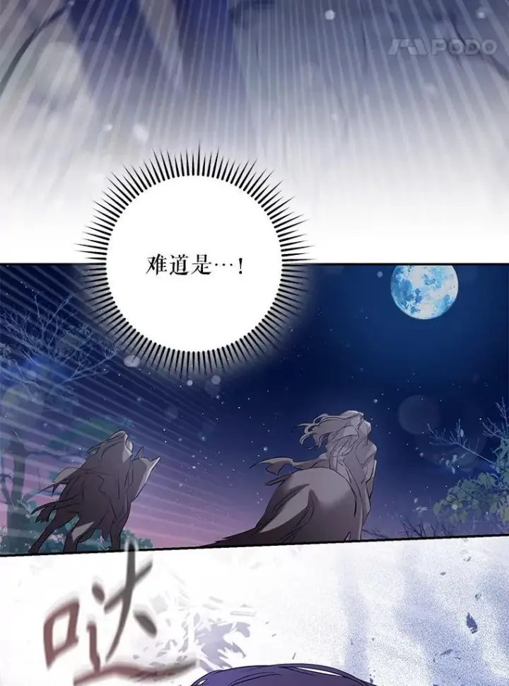 《驯服暴君后逃跑了》81.再次逃跑（2）图72
