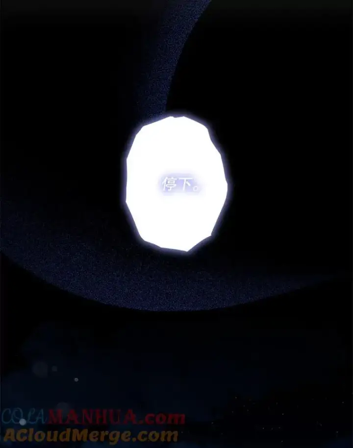 《驯服暴君后逃跑了》81.再次逃跑（2）图79
