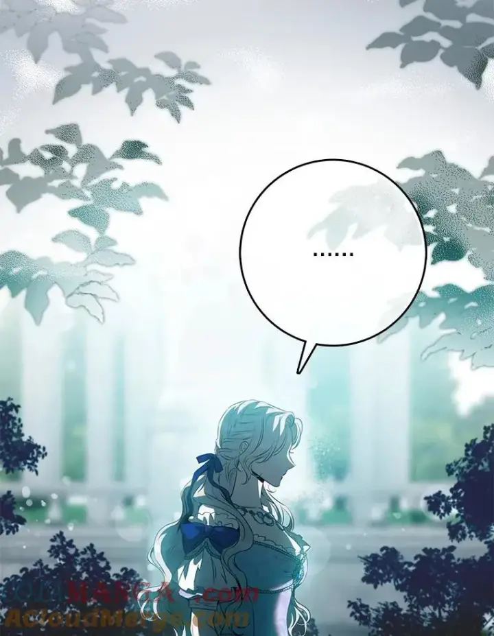 《驯服暴君后逃跑了》96.新灵苏生图13