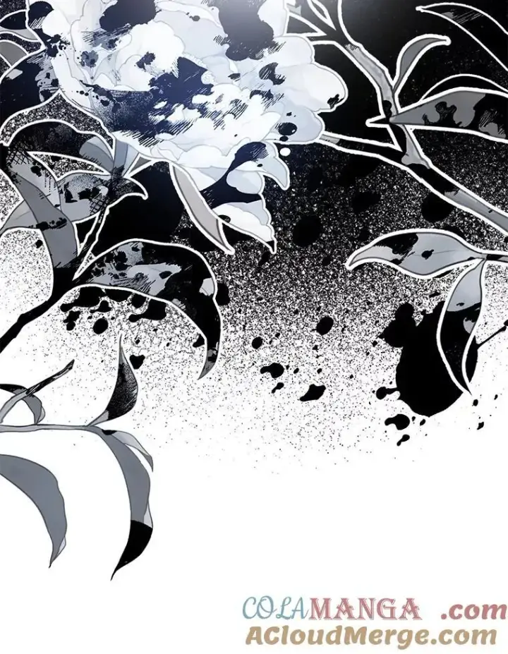 《驯服暴君后逃跑了》96.新灵苏生图9