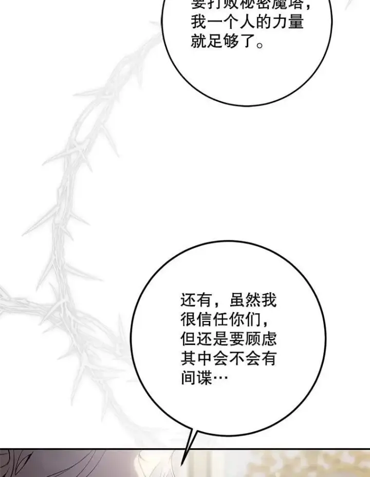 《驯服暴君后逃跑了》108.集结各方图103