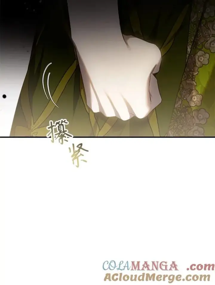 《驯服暴君后逃跑了》108.集结各方图93