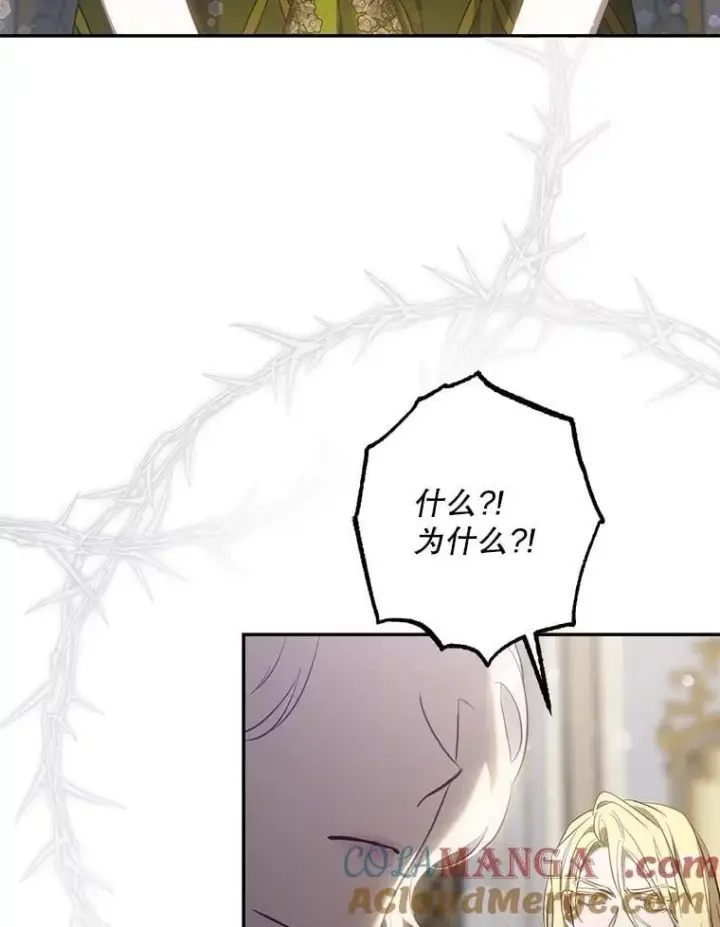 《驯服暴君后逃跑了》108.集结各方图97