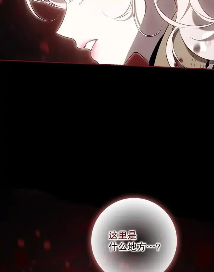 《驯服暴君后逃跑了》111.虚假空间图6