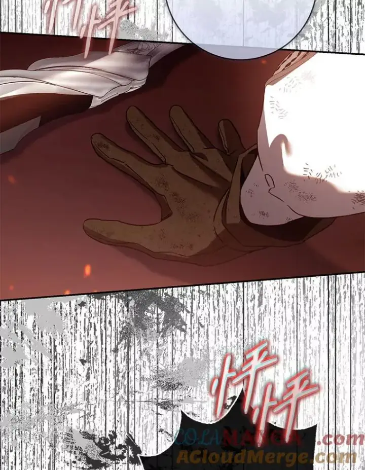 《驯服暴君后逃跑了》117.卡胡的请求图93