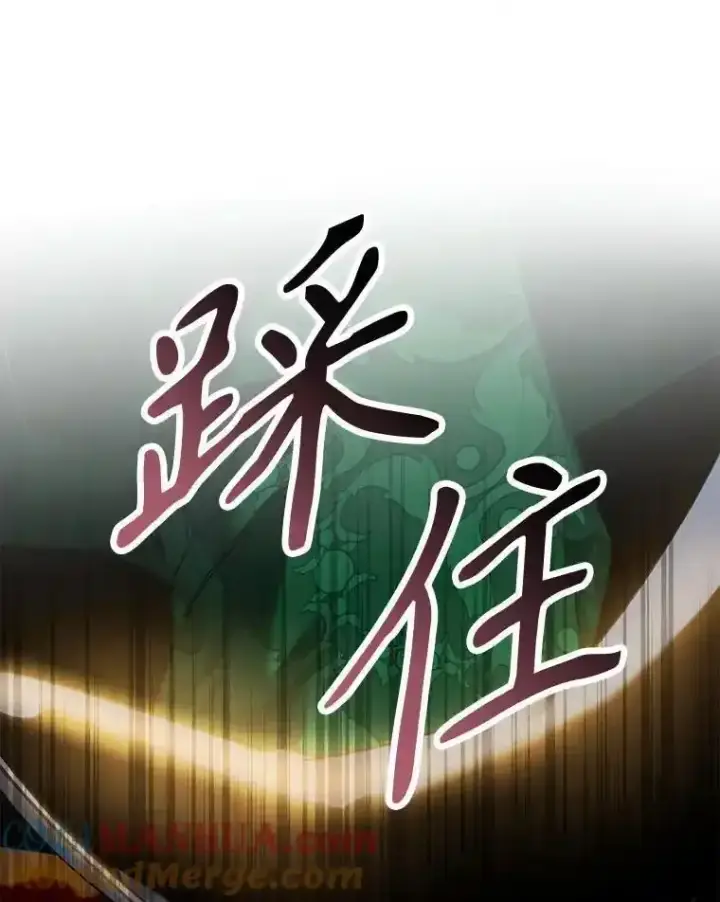 《驯服暴君后逃跑了》94.关山阻隔图97