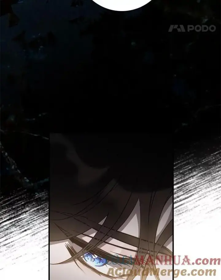 《驯服暴君后逃跑了》91.二日凌空图41