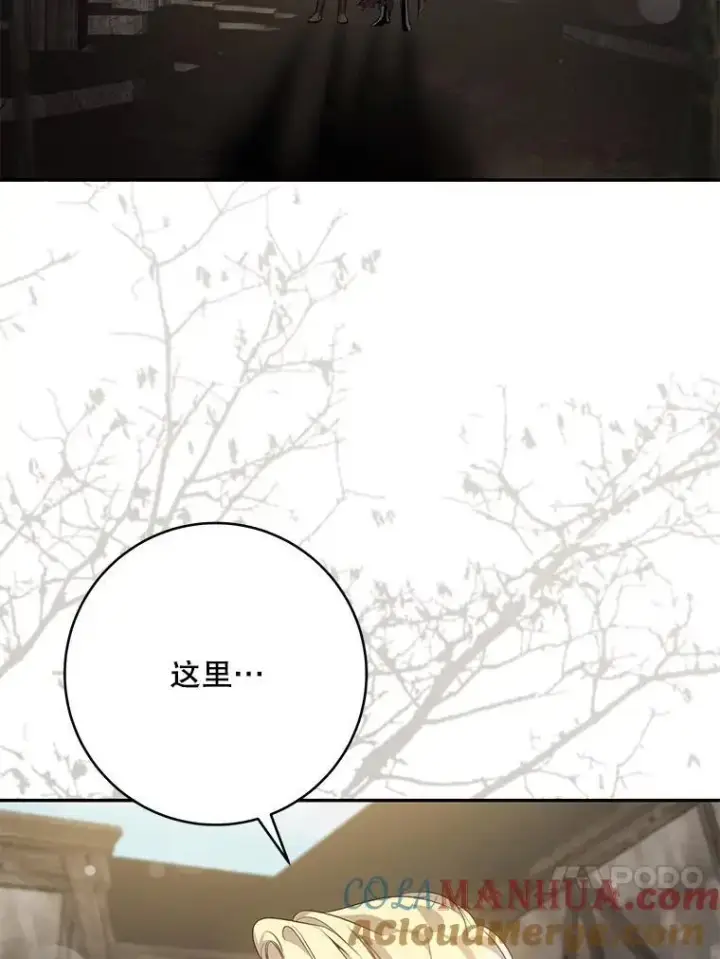 《驯服暴君后逃跑了》92.追本溯源图76