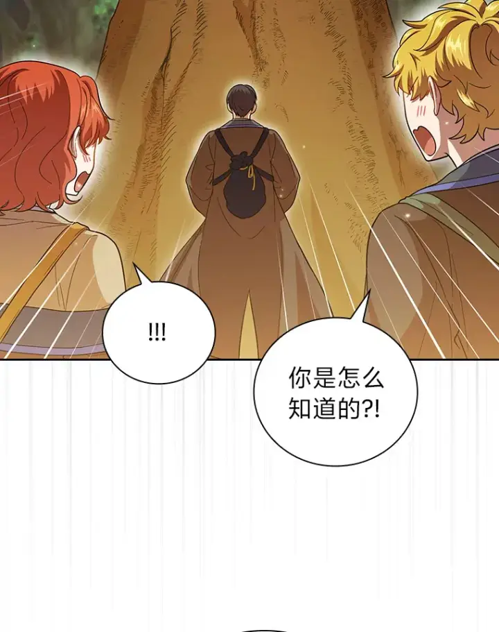 漫画《厌学魔法师想毕业》29.树精灵第47张图
