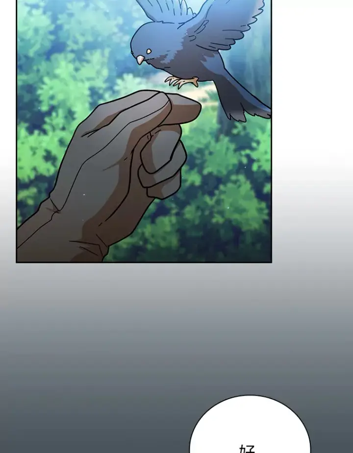 漫画《厌学魔法师想毕业》33.基础骑行训练第66张图