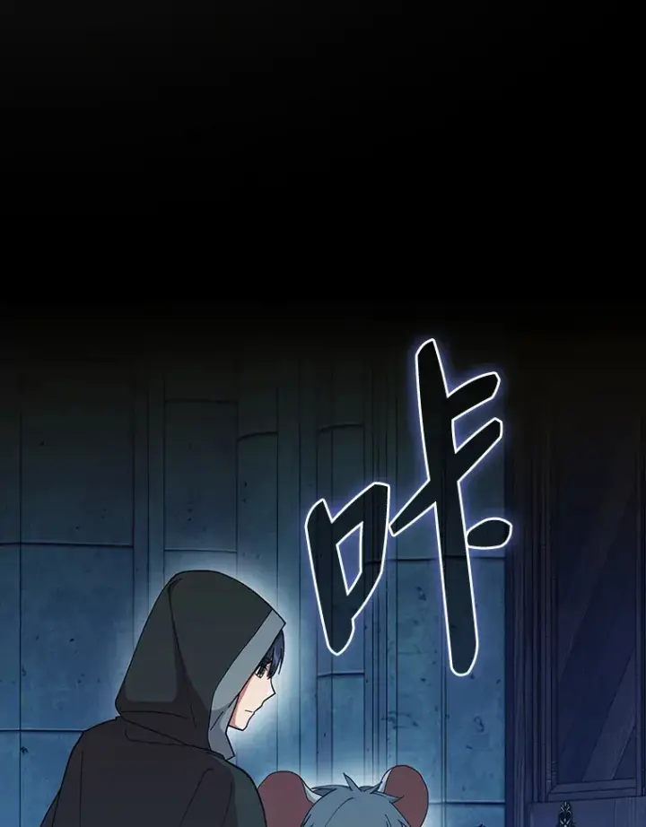 《厌学魔法师想毕业》40.小偷联盟图66