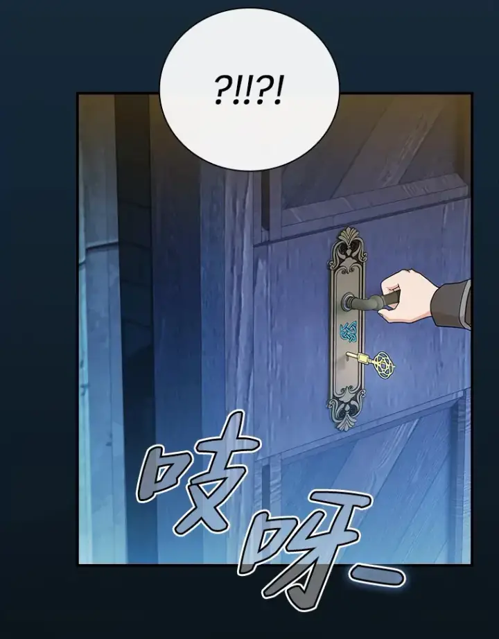 《厌学魔法师想毕业》40.小偷联盟图68