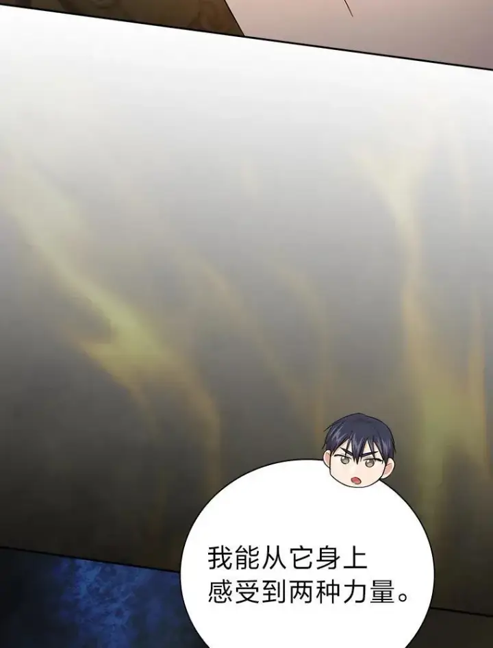 漫画《厌学魔法师想毕业》79.精灵黄牛第63张图