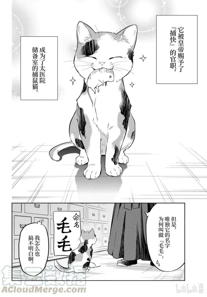 《药屋少女的呢喃》42.5 猫（后篇）图15