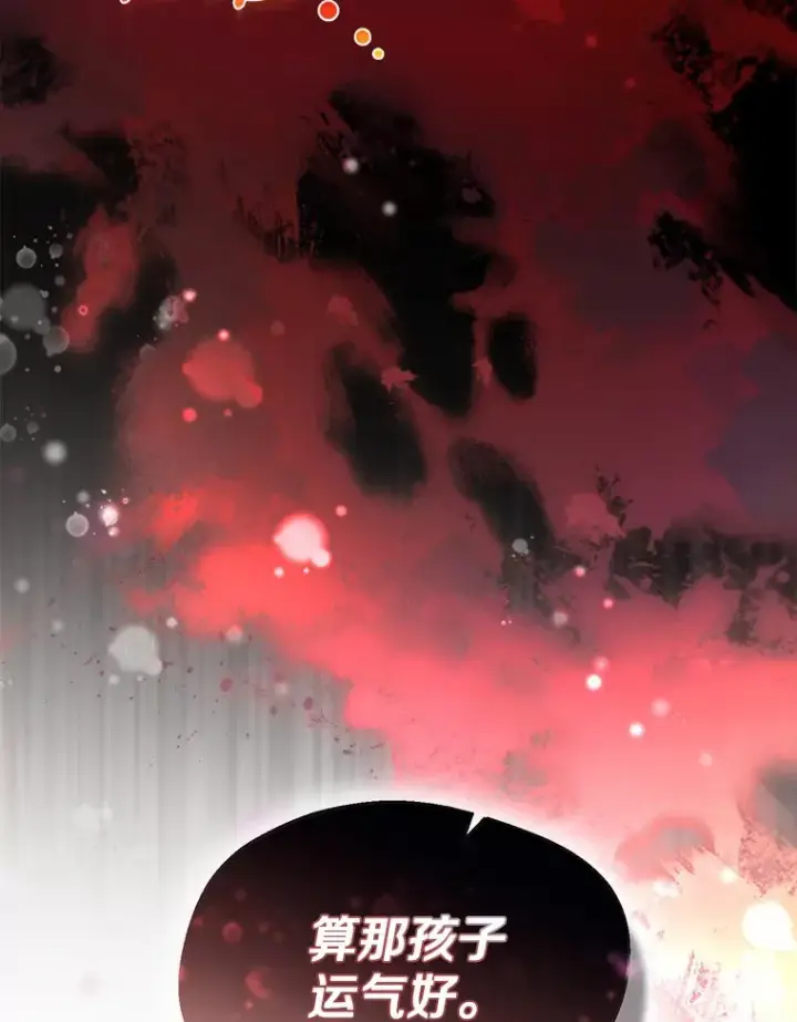 漫画《一不小心娶了女装大佬》1.他就是大公！第13张图